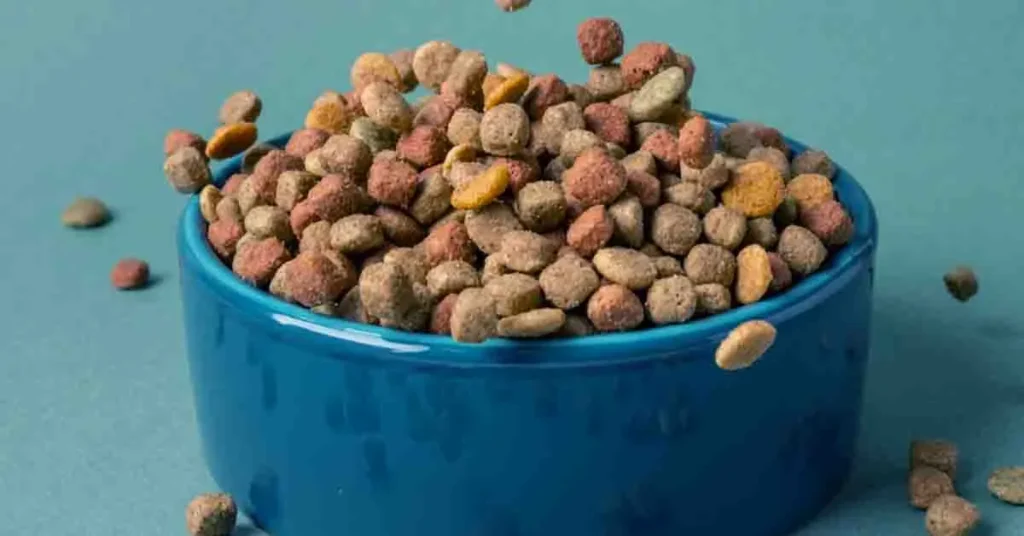 Vet Approved Homemade Dog Food Recipes for Kidney Disease 1